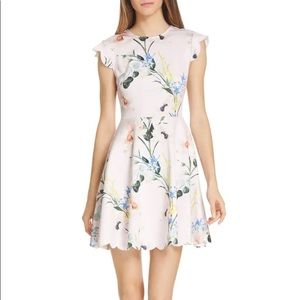 Ted Baker Scallop Skater Dress Size 5 (14)
